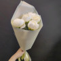 5 белых пионов